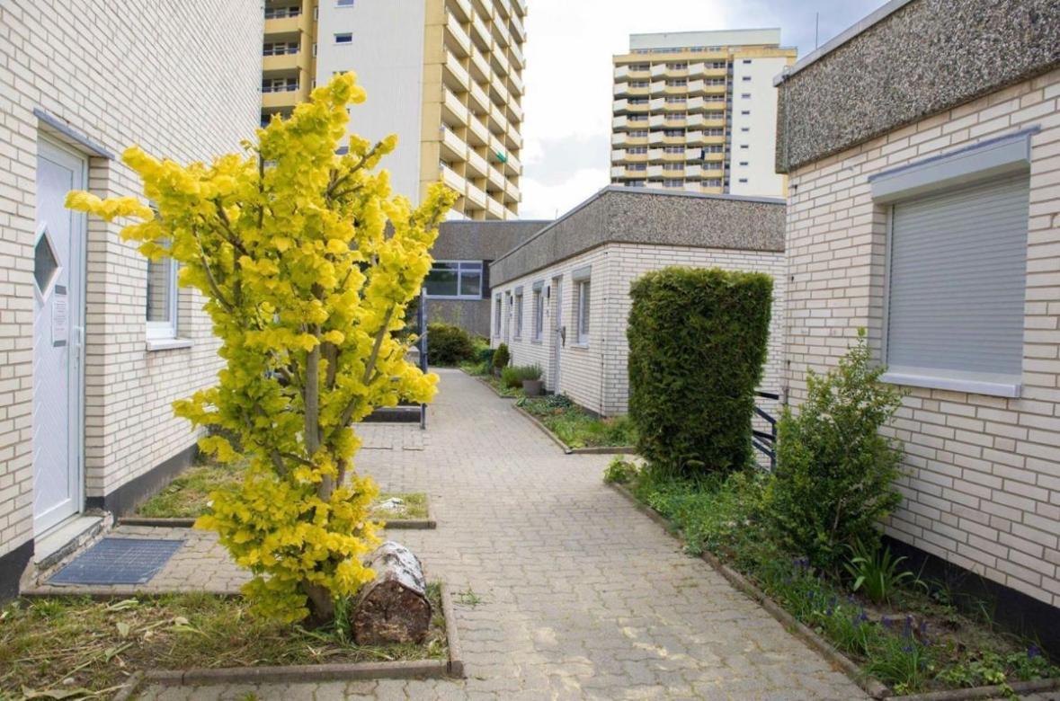Ferienwohnung 479 Mit Schwimmbad,Sauna Und Bar In Panoramic Hohegeiss Braunlage Eksteriør bilde